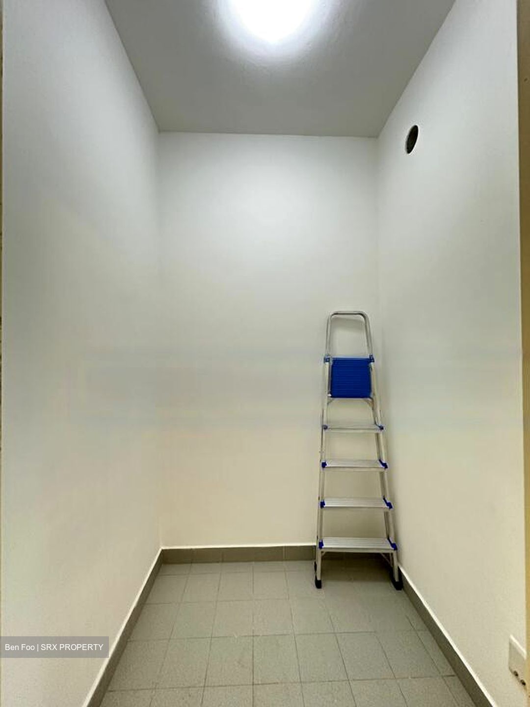 The Waterina (D14), Apartment #480377341